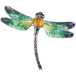 Dragonfly PNG-26266